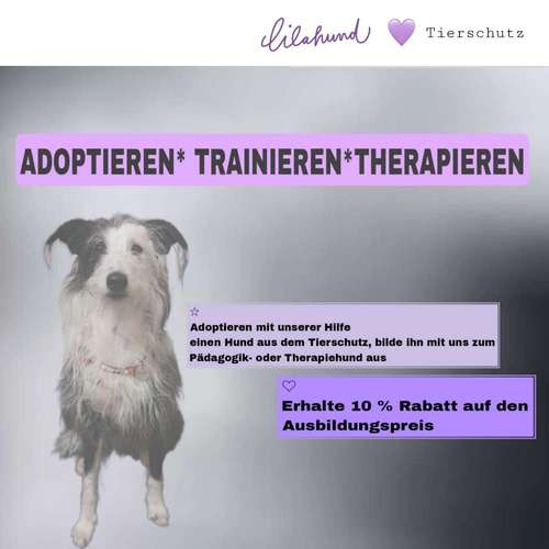 Hundeauslaufgebiet-lilahund-Bild