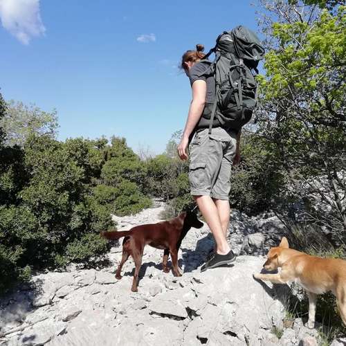 Hundeauslaufgebiet-Streuner_mobil-Bild