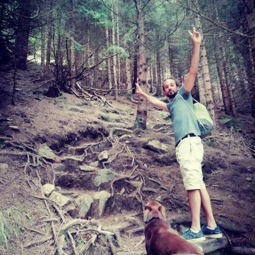 Hundeauslaufgebiet-Streuner_mobil-Bild