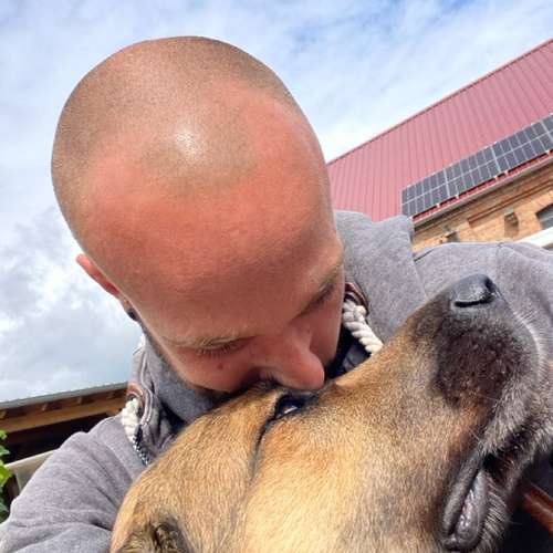 Hundeauslaufgebiet-Streuner_mobil-Bild