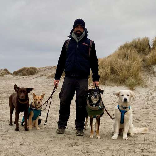 Hundeauslaufgebiet-Streuner_mobil-Bild