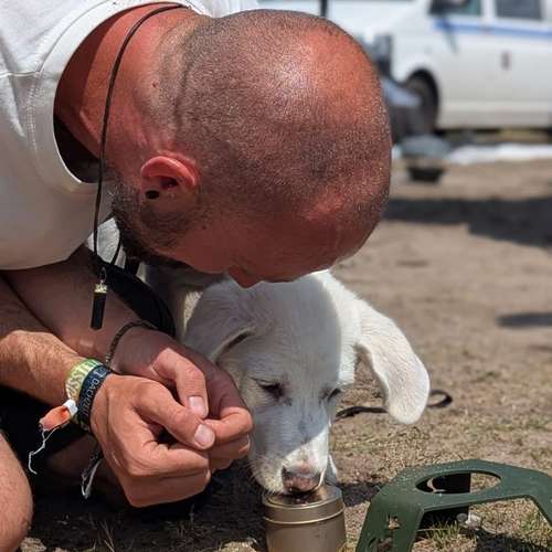 Hundeauslaufgebiet-Streuner_mobil-Bild