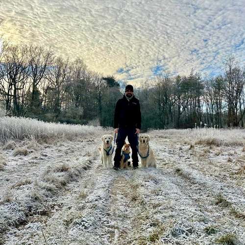 Hundeauslaufgebiet-Streuner_mobil-Bild