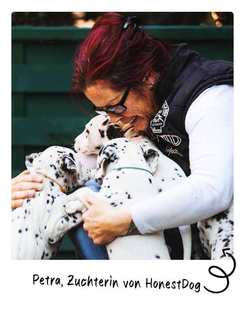 Hundeauslaufgebiet-HonestDog-Bild