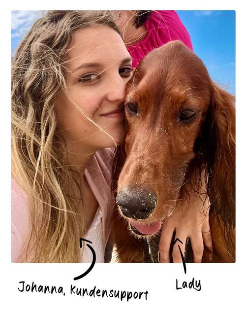 Hundeauslaufgebiet-HonestDog-Bild