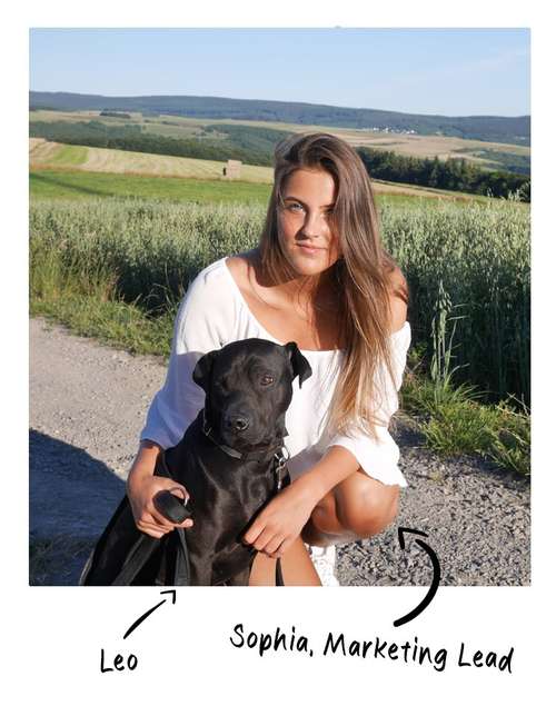 Hundeauslaufgebiet-HonestDog-Bild