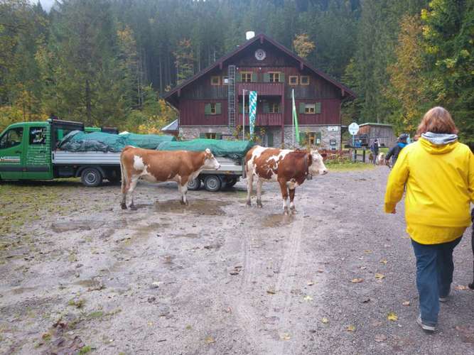 Hundeauslaufgebiet-Spaß mit 4 Pfoten Ebersberg e.V.-Bild