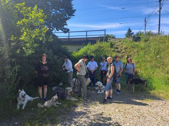 Hundeauslaufgebiet-Spaß mit 4 Pfoten Ebersberg e.V.-Bild