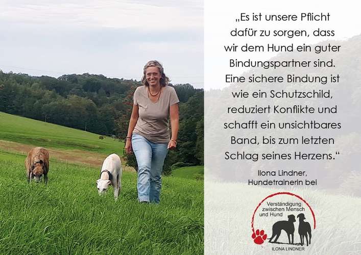 Hundeauslaufgebiet-Verständigung zwischen Mensch und Hund-Bild