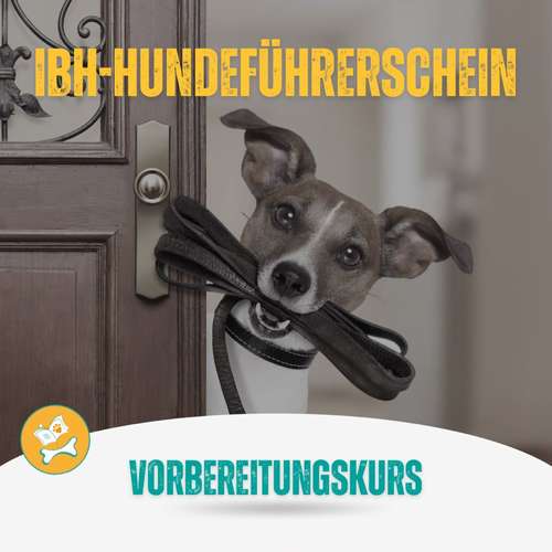 Hundeauslaufgebiet-PfotenHafen - bedürfnisorientiert und sicher-Bild