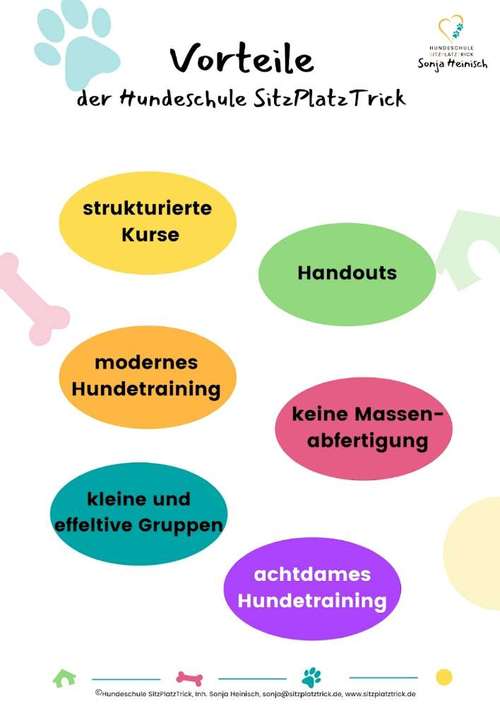 Hundeauslaufgebiet-SitzPlatzTrick-Bild