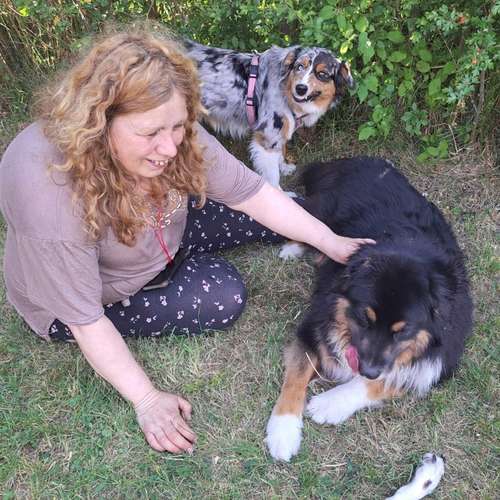 Hundeauslaufgebiet-Rund ums Tier-Hundezentrum Hundedialog-Bild