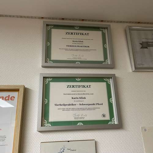 Hundeauslaufgebiet-Rund ums Tier-Hundezentrum Hundedialog-Bild
