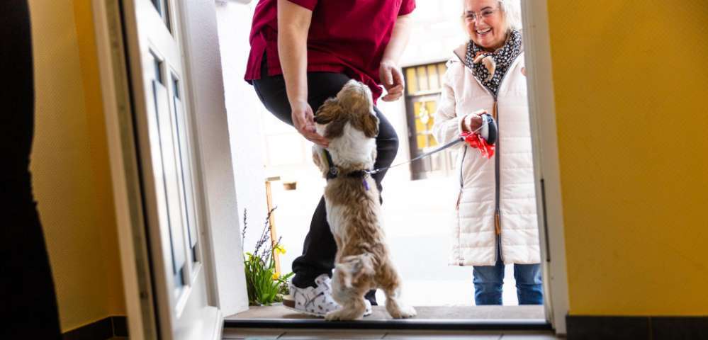 Hundeauslaufgebiet-Tierarztpraxis Koprek-Bild