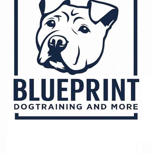 Hundeauslaufgebiet-Blueprint - Dogtraining and More-Bild