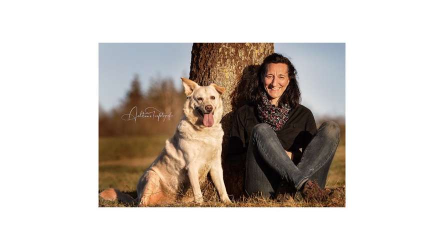 Hundeauslaufgebiet-Achtsame Tierfotografie Trier und Umgebung-Bild