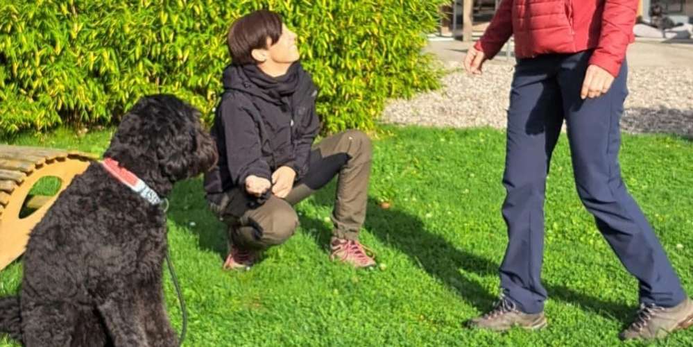 Hundeauslaufgebiet-"Kochhunde" -Mobile Hundeschule-Bild