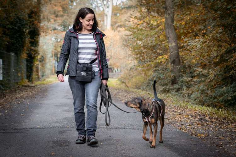Hundeauslaufgebiet-Hundeschule Tierschutzpfoten-Bild