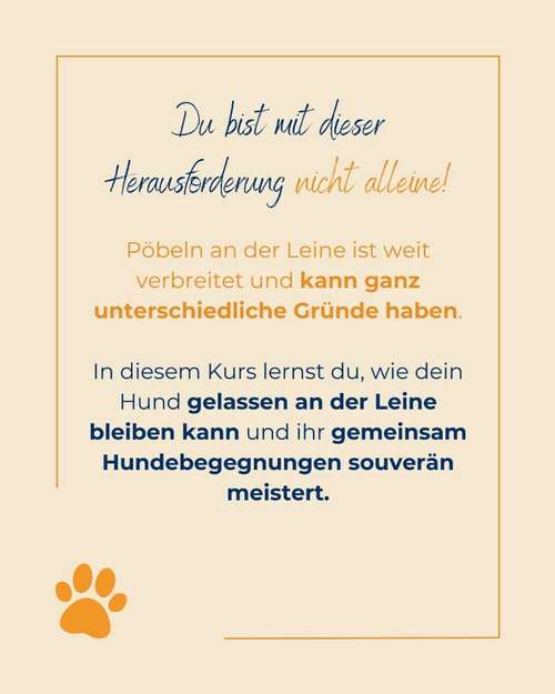 Hundeauslaufgebiet-Hundeschule Tierschutzpfoten-Bild
