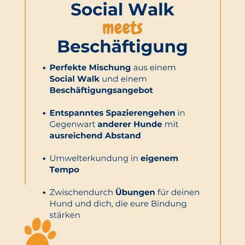 Hundeauslaufgebiet-Hundeschule Tierschutzpfoten-Bild