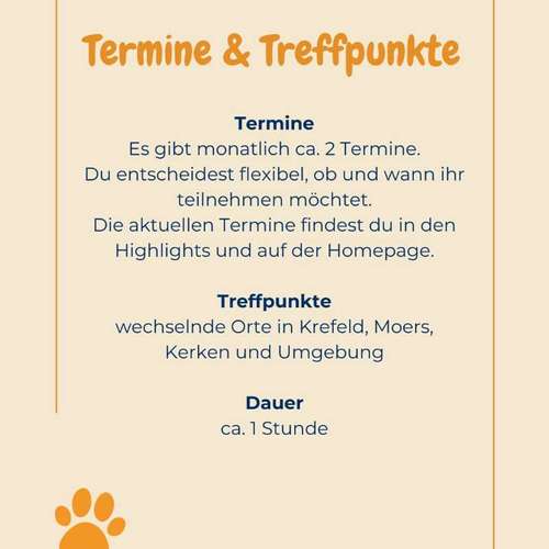 Hundeauslaufgebiet-Hundeschule Tierschutzpfoten-Bild