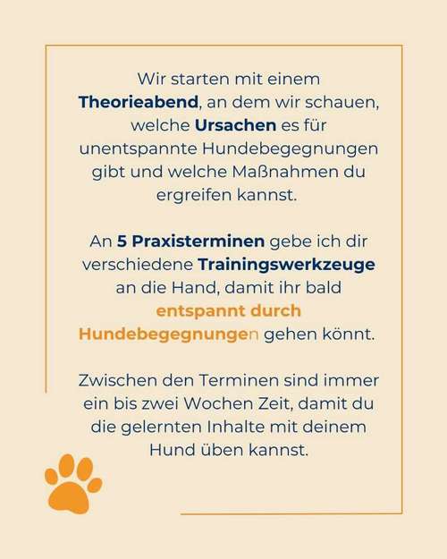 Hundeauslaufgebiet-Hundeschule Tierschutzpfoten-Bild