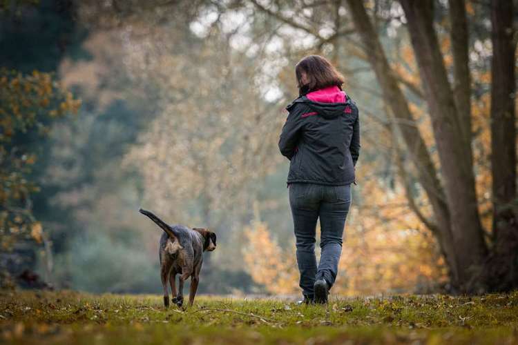 Hundeauslaufgebiet-Hundeschule Tierschutzpfoten-Bild