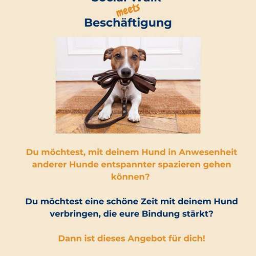 Hundeauslaufgebiet-Hundeschule Tierschutzpfoten-Bild