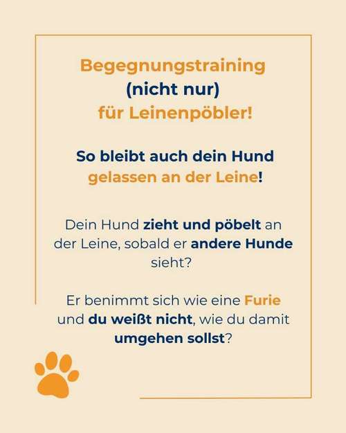 Hundeauslaufgebiet-Hundeschule Tierschutzpfoten-Bild