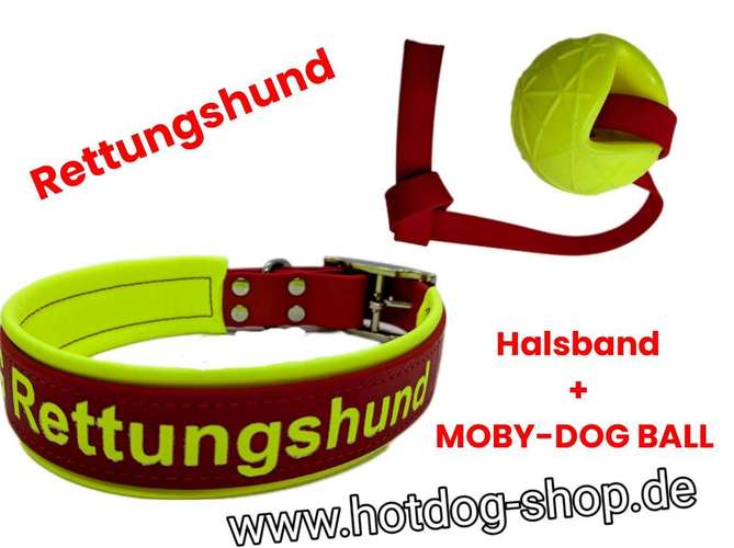 Hundeauslaufgebiet-Hot Dog Shop-Bild