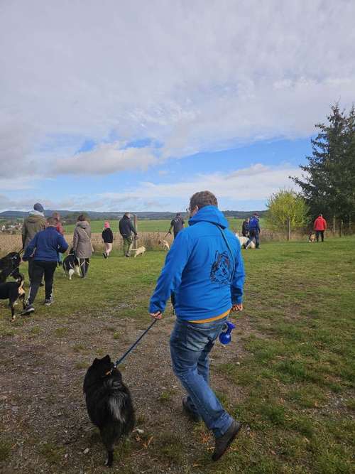 Hundeauslaufgebiet-Hundesportverein Neuhaus-Schierschnitz-Bild