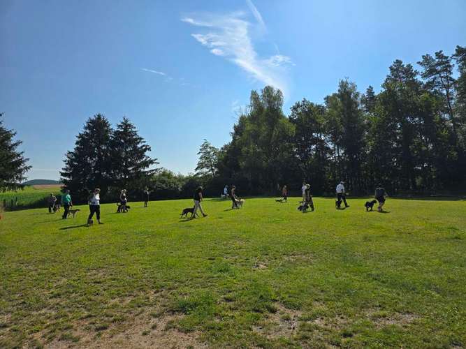 Hundeauslaufgebiet-Hundesportverein Neuhaus-Schierschnitz-Bild