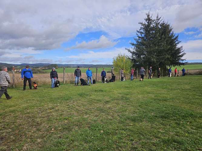 Hundeauslaufgebiet-Hundesportverein Neuhaus-Schierschnitz-Bild