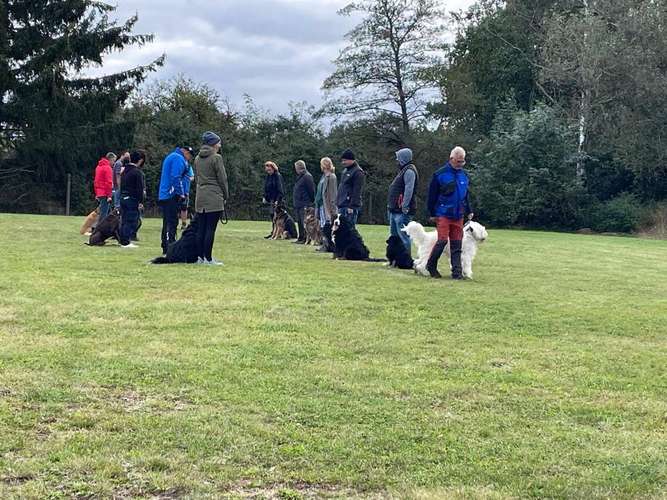 Hundeauslaufgebiet-Hundesportverein Neuhaus-Schierschnitz-Bild