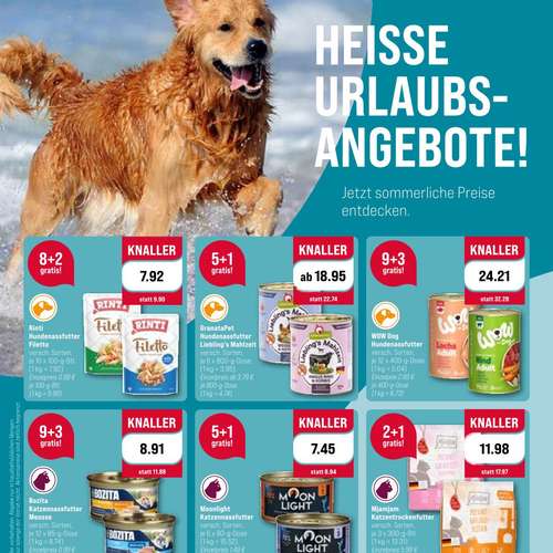 Hundeauslaufgebiet-ZooRoyal Elmshorn-Bild