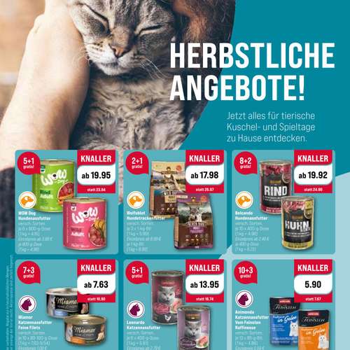 Hundeauslaufgebiet-ZooRoyal Niendorf-Bild
