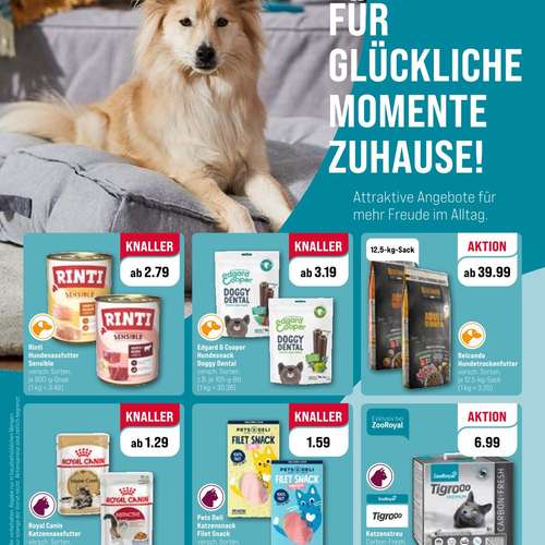 Hundeauslaufgebiet-ZooRoyal Elmshorn-Bild