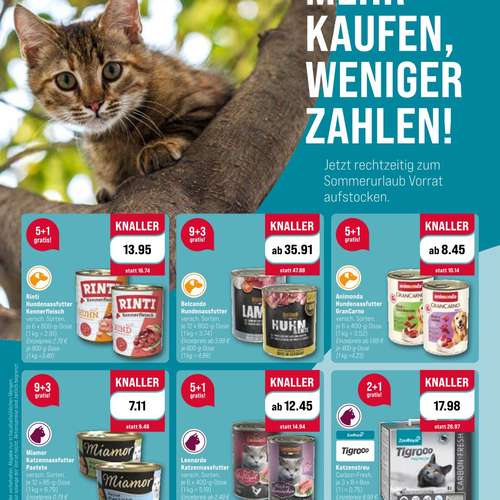 Hundeauslaufgebiet-ZooRoyal Niendorf-Bild
