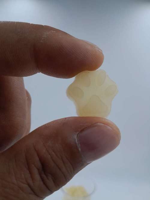 Hundeauslaufgebiet-DoggiGum-Bild