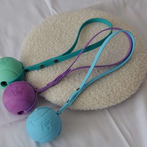 Hundeauslaufgebiet-TrioTails-Bild