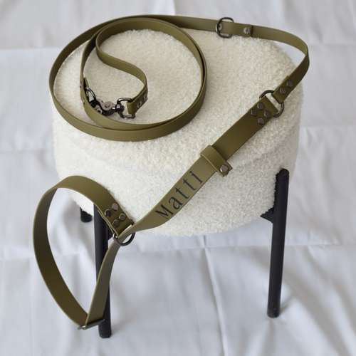 Hundeauslaufgebiet-TrioTails-Bild