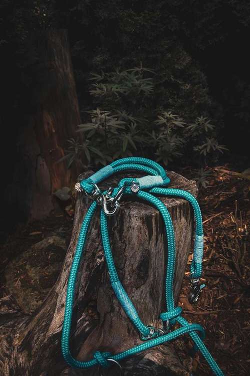 Hundeauslaufgebiet-Pfoetchentraumtau-Bild