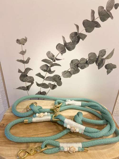 Hundeauslaufgebiet-Pfoetchentraumtau-Bild