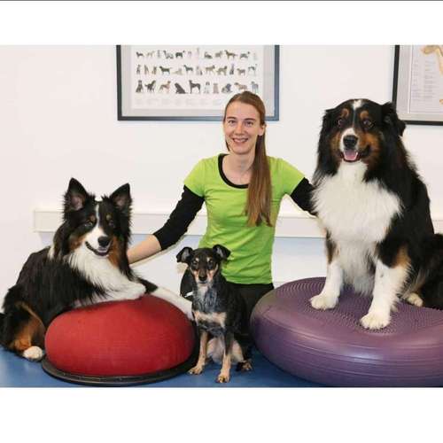 Hundeauslaufgebiet-Hundephysio Stölzle-Bild