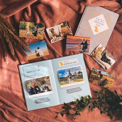 Hundeauslaufgebiet-Dog Challenge Book-Bild