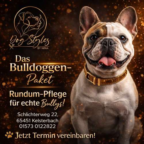 Hundeauslaufgebiet-Dog-Styles by Nina -Bild