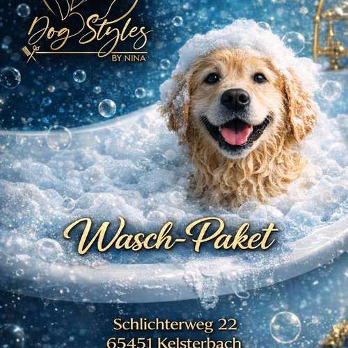 Hundeauslaufgebiet-Dog-Styles by Nina -Bild