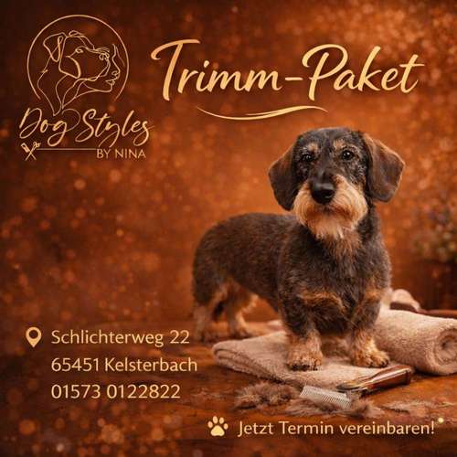 Hundeauslaufgebiet-Dog-Styles by Nina -Bild