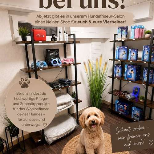 Hundeauslaufgebiet-Dog-Styles by Nina -Bild