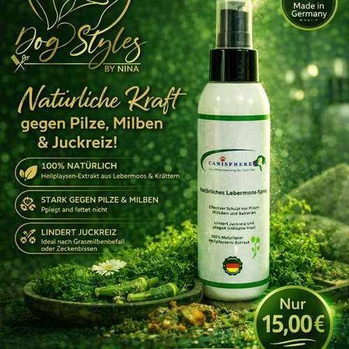 Hundeauslaufgebiet-Dog-Styles by Nina -Bild